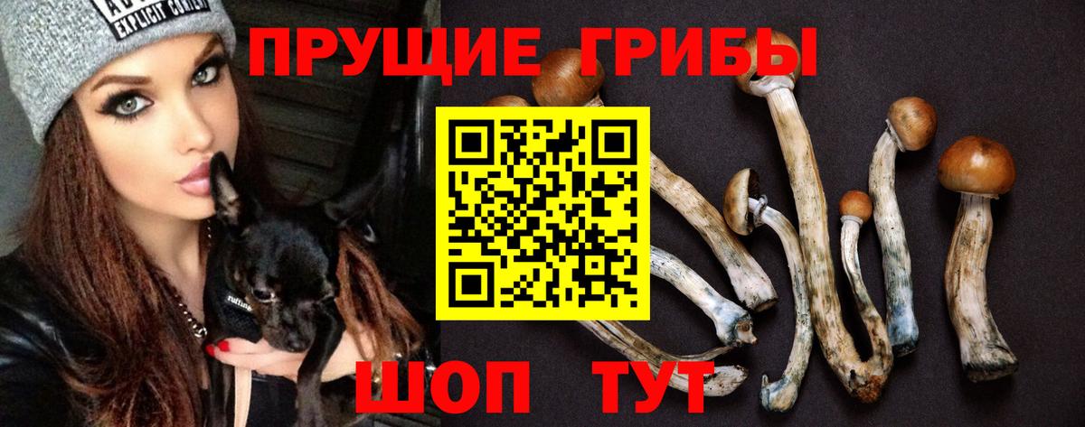 Изобильный  Галлюциногенные грибы Cubensis  Вход с VPN  Галлюциногенные грибы Magic Shrooms 